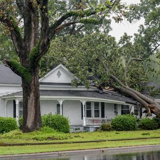 A tree has fallen on the roof of a house.
