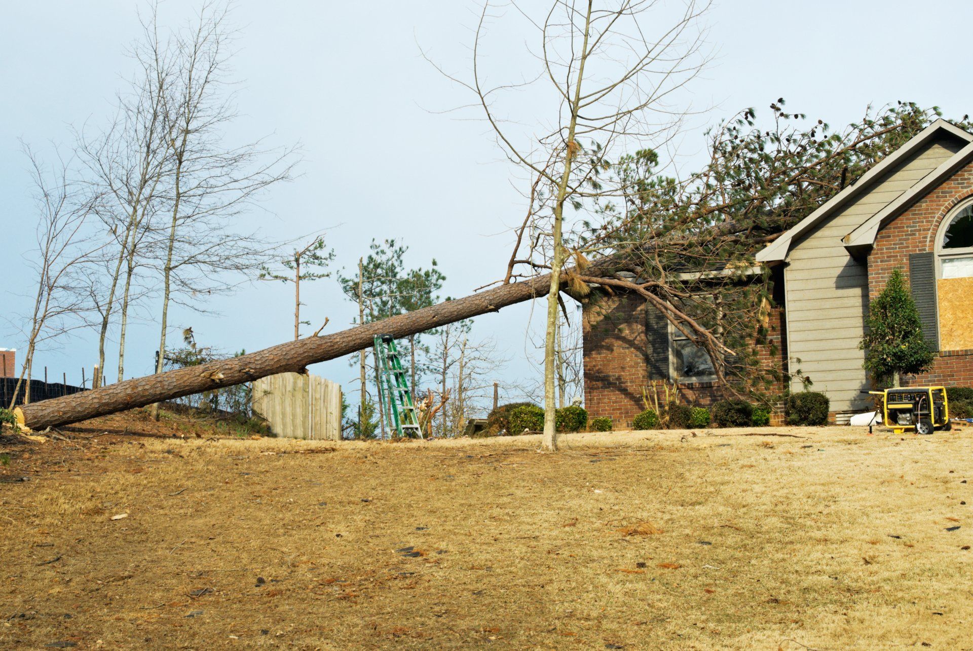 A house with a fallen tree in front of it