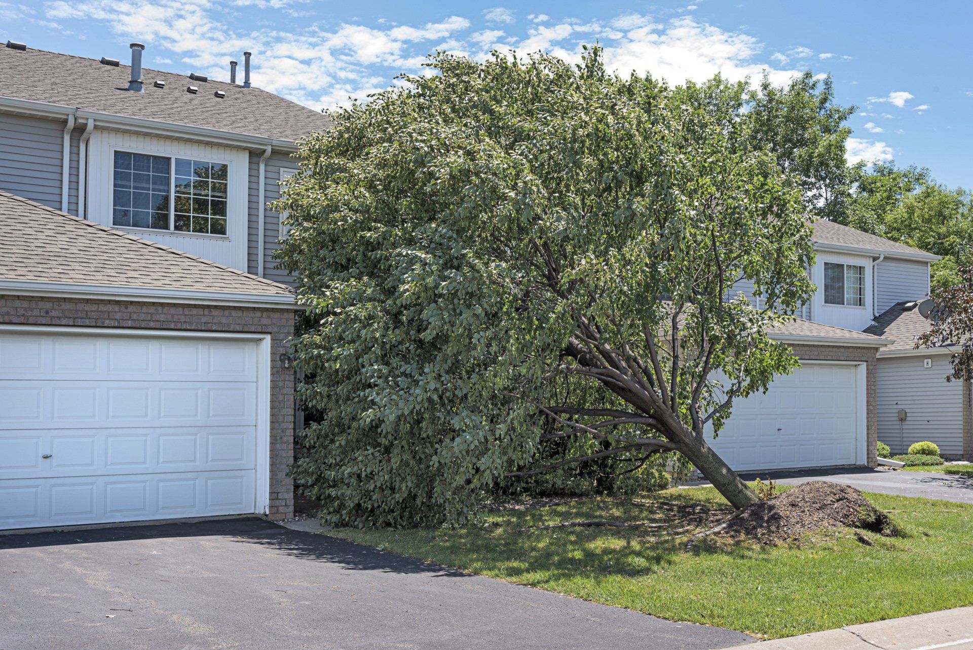 A tree that has fallen in front of a house