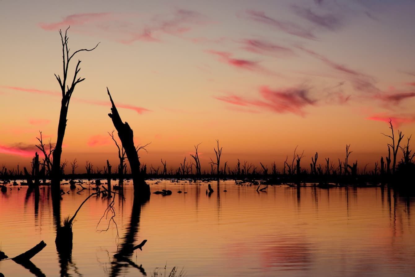 A Sunset Over A Lake With Trees In The Water — Point to Point Surveying In Tatura, VIC