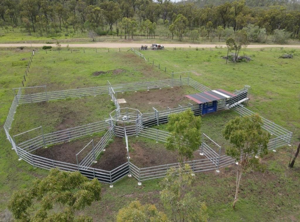 A Steel Fence In Rural Area for Cows — Mini Excavator Hire & Rural Fencing In Bungundarra, QLD