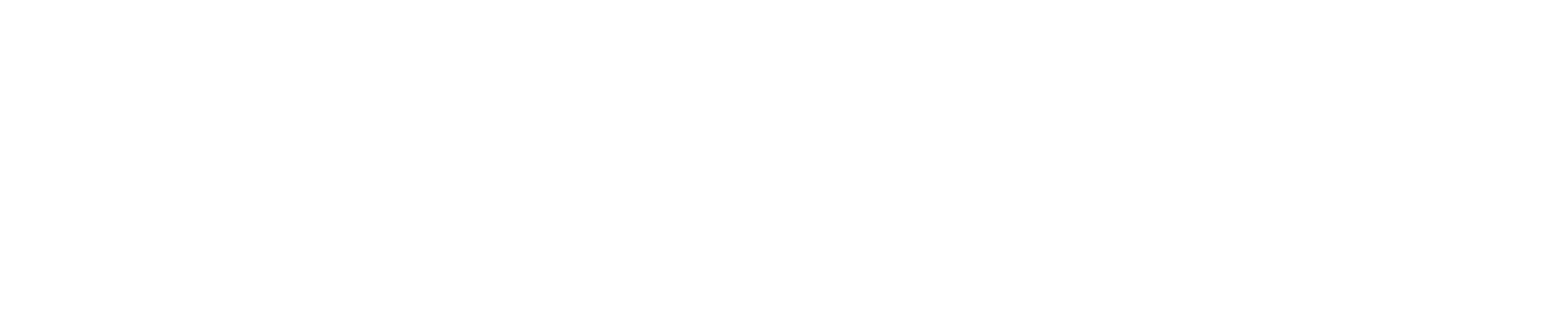 Logo bianco