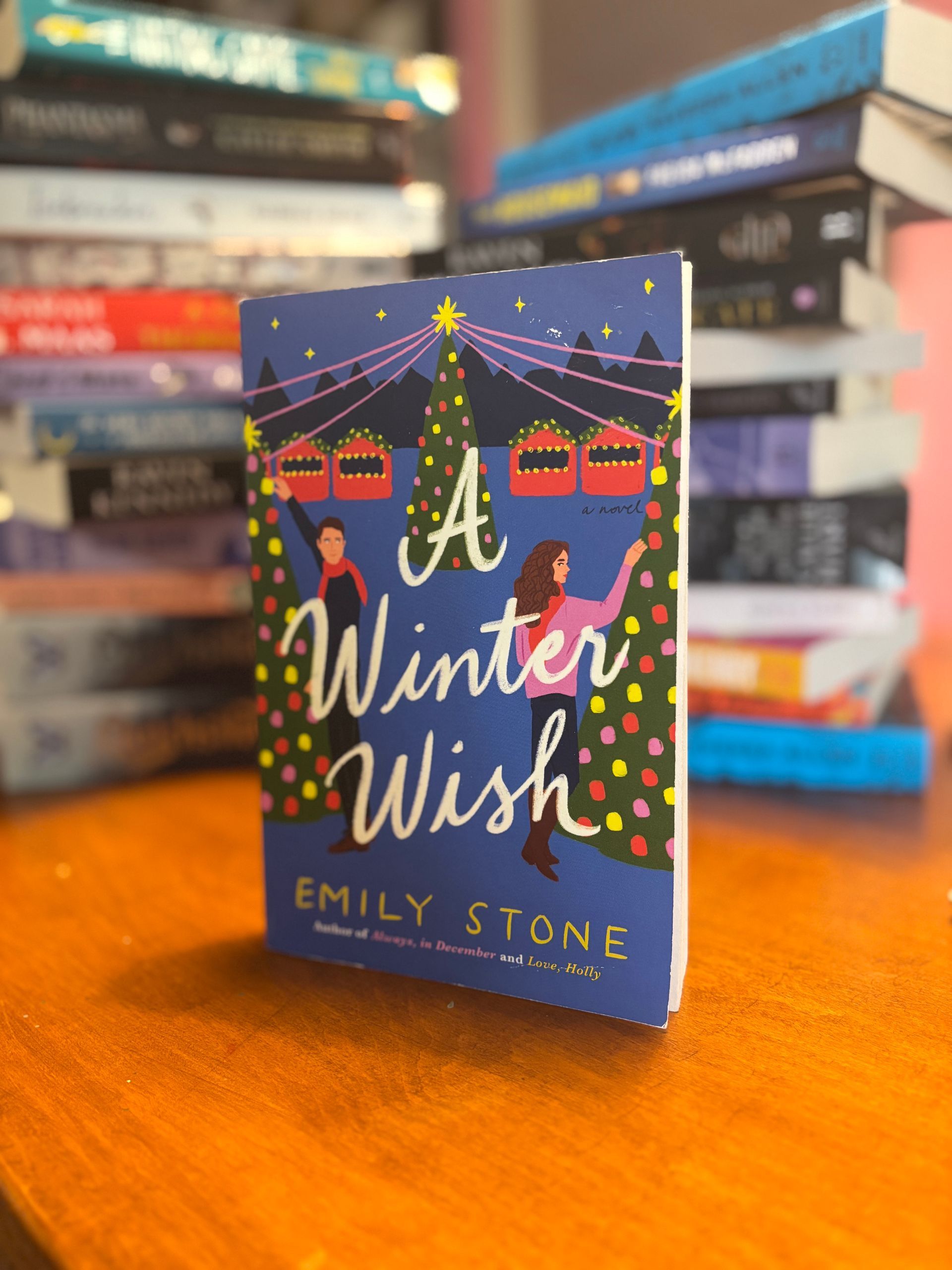 Book Box Gift Set-A Winter Wish by Emily Stone