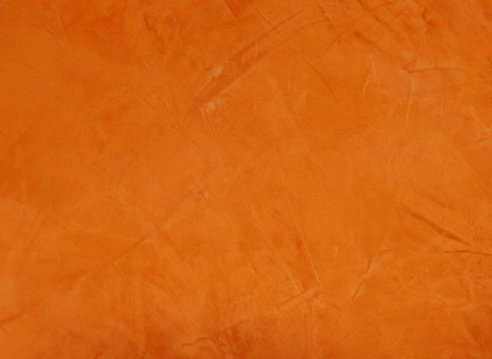 carmelized interior mural painting art orange venetian
