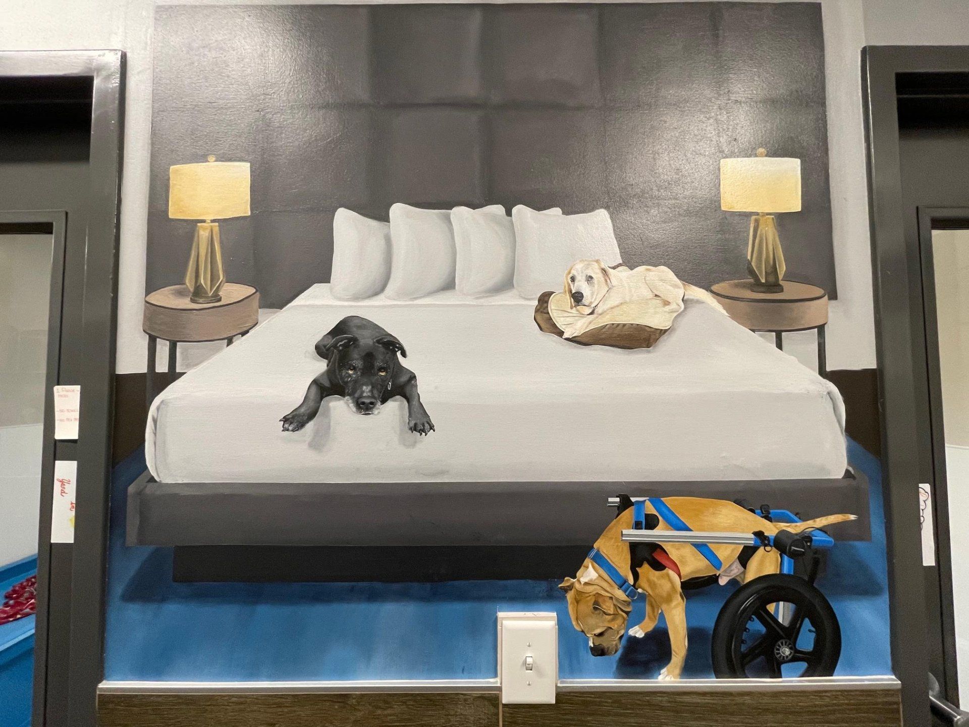 Old Friends Senior Dog Sanctuary Custom Interior Mural Art Dogs on Bed
