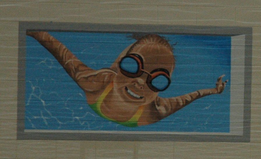 Roanoke YMCA Features Interior Murals Painted By Renowned Artist