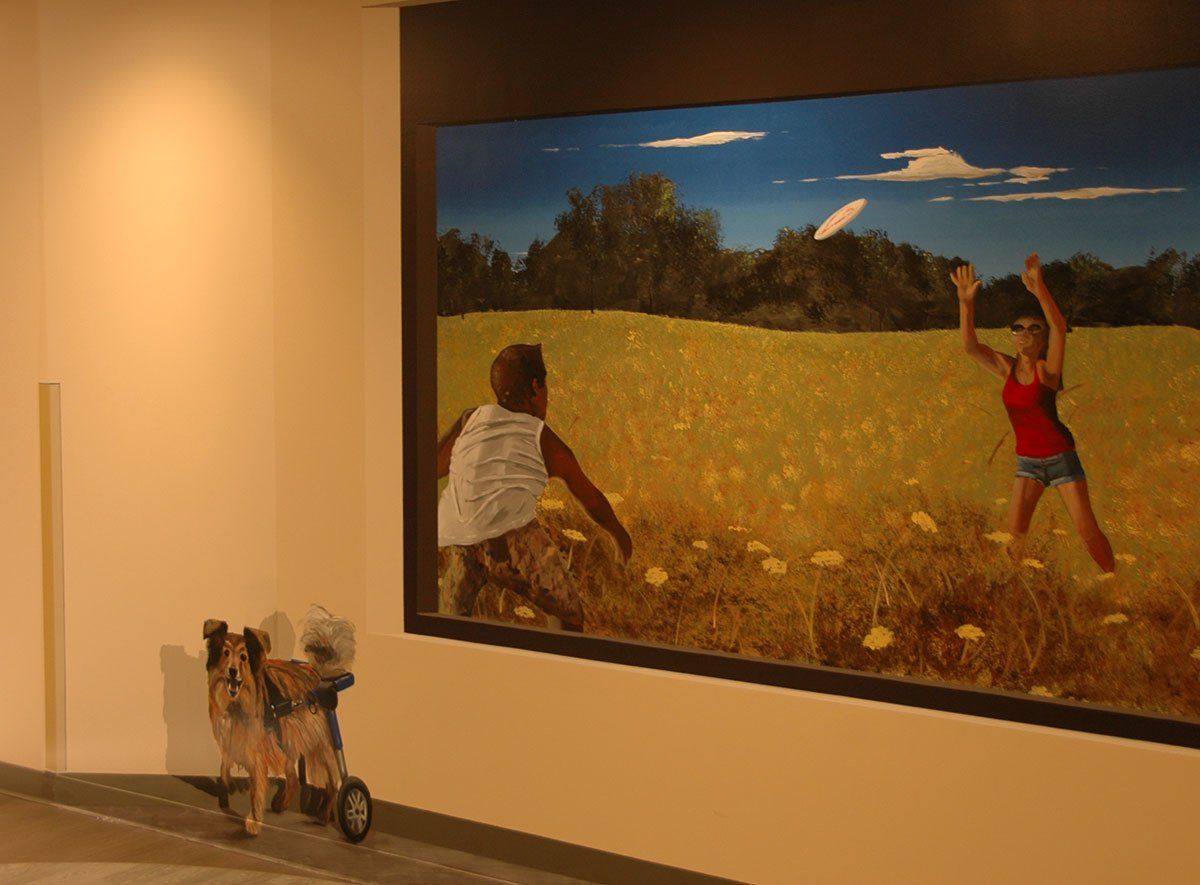 Williamson Medical Cardiac Rehab Custom Interior Wall Mural Art