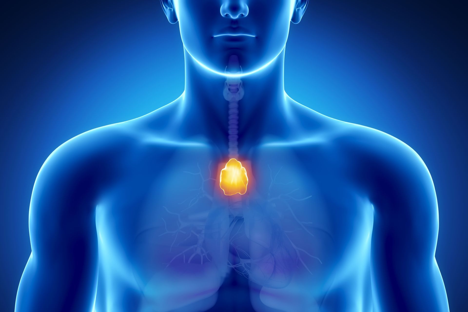 hiperplasia tímica