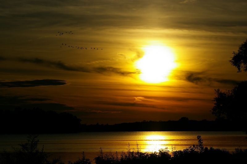 A sunset over a lake with birds flying in the sky