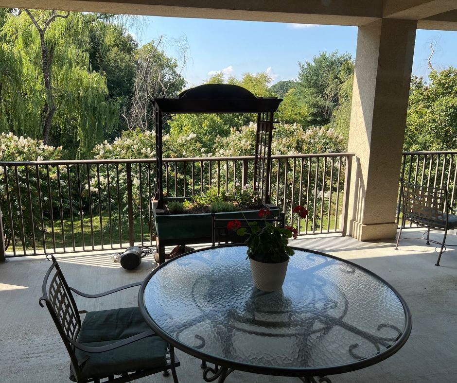 A glass table with a potted plant on it