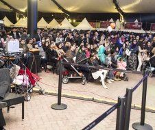 A large group of people are sitting in stroller at a concert.