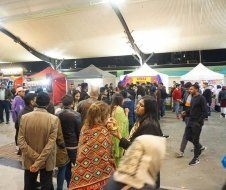 A group of people are standing in a crowd at a festival.