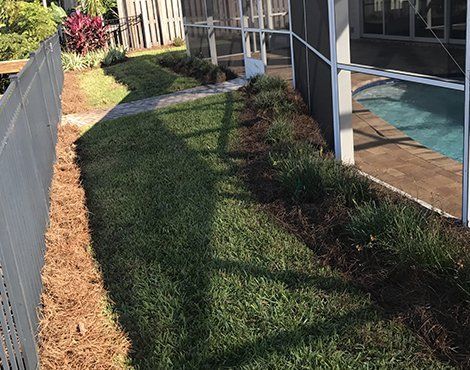 Stouts Leaf Clean Up