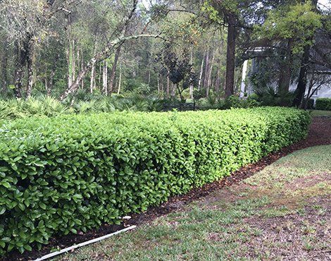 Stouts Leaf Clean Up