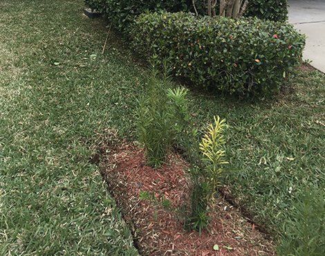 Stouts Leaf Clean Up