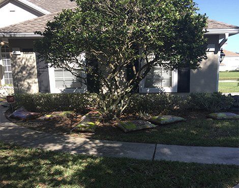 Stouts Landscape & Lawn Service, Lawn Maintenance