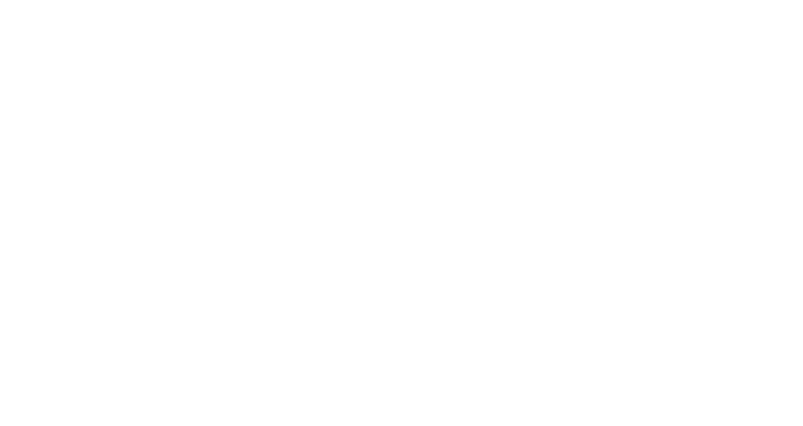 Stouts Landscape & Lawn Service, Lawn Care, Landscape