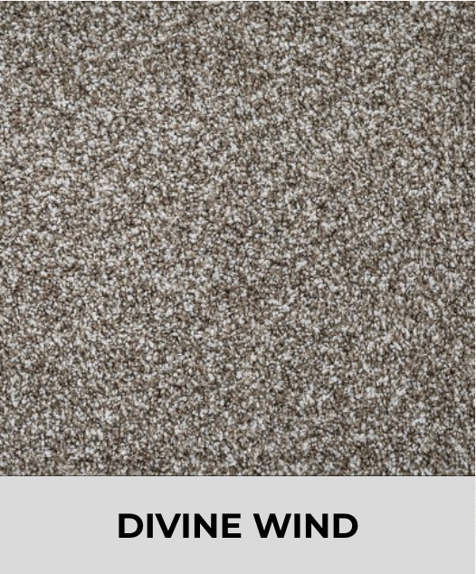 Textured Carpet Sample