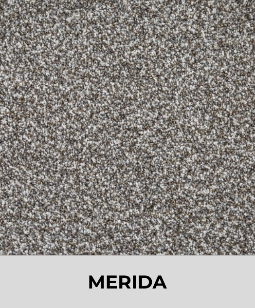 Textured Carpet Sample
