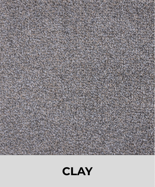 Textured Carpet Sample