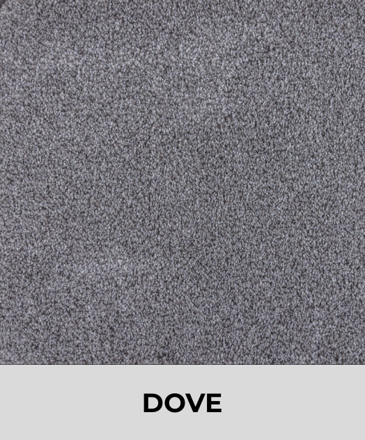 Textured Carpet Sample