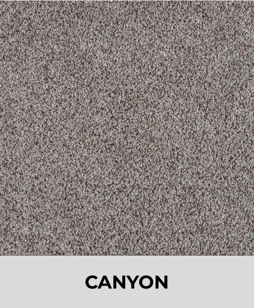 Textured Carpet Sample