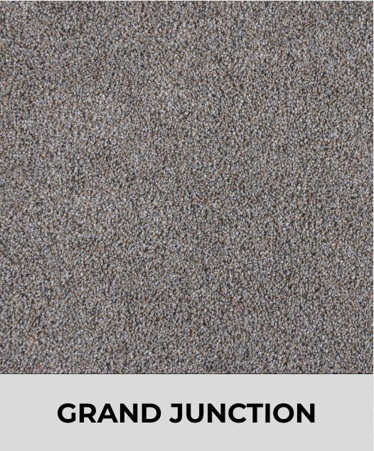 Textured Carpet Sample