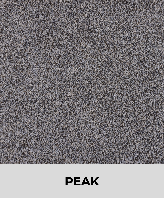 Textured Carpet Sample