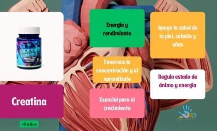 Botella de suplemento de creatina con beneficios: energía, salud de la piel