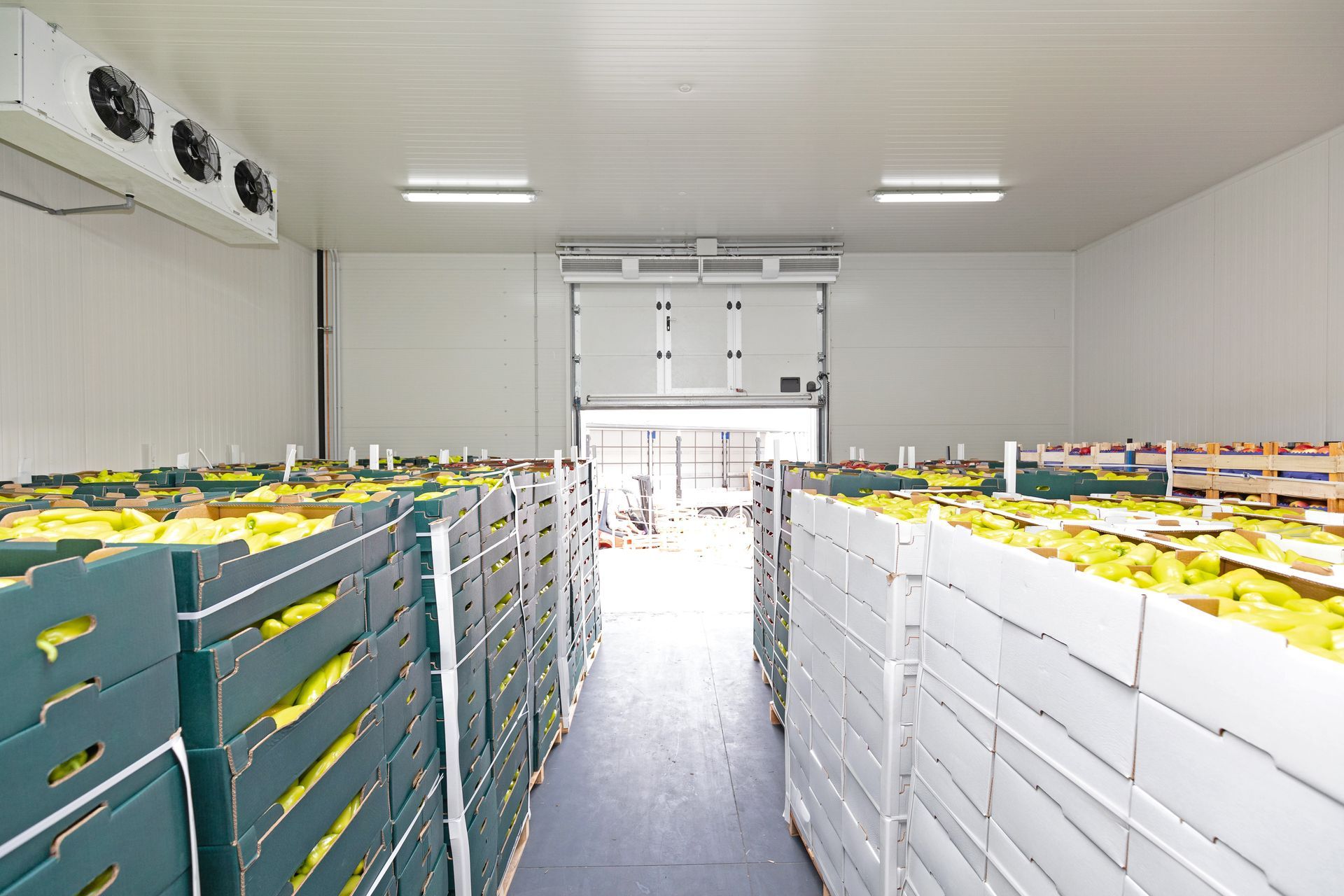 Rows of organized storage pallets in a cool warehouse with professional climate control.
