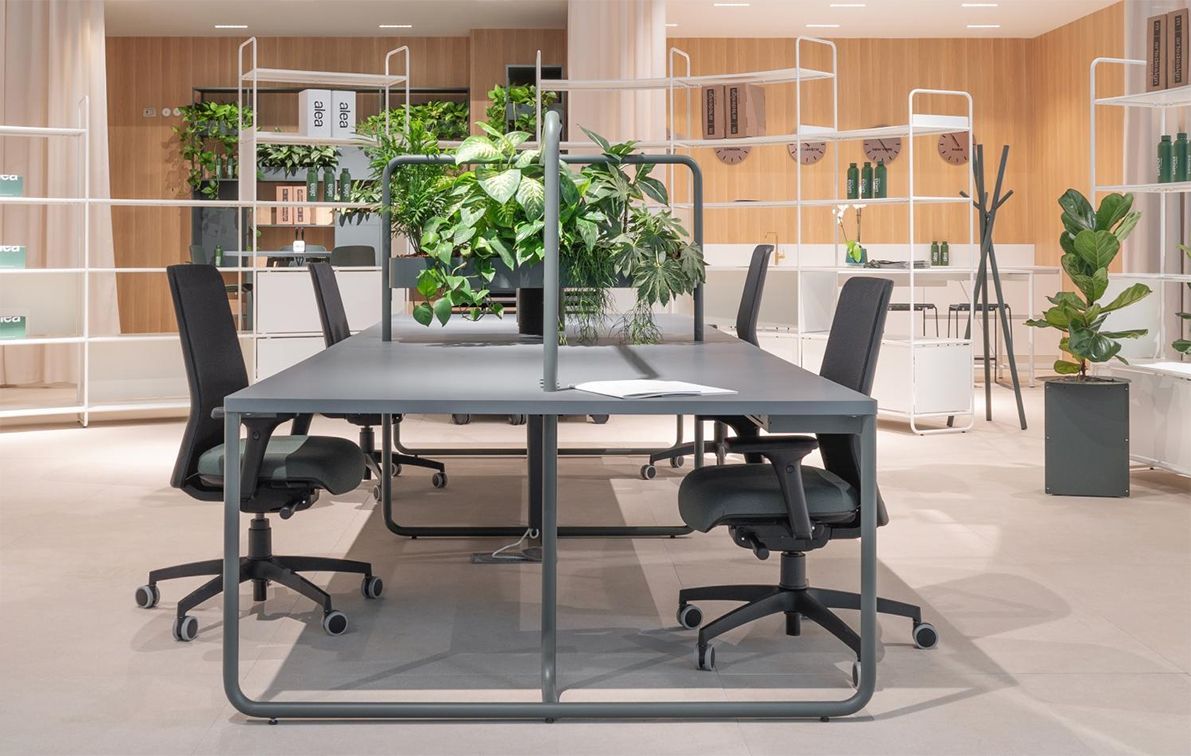 Ufficio moderno con scrivanie, sedie e piante. Scaffali bianchi, colori neutri.