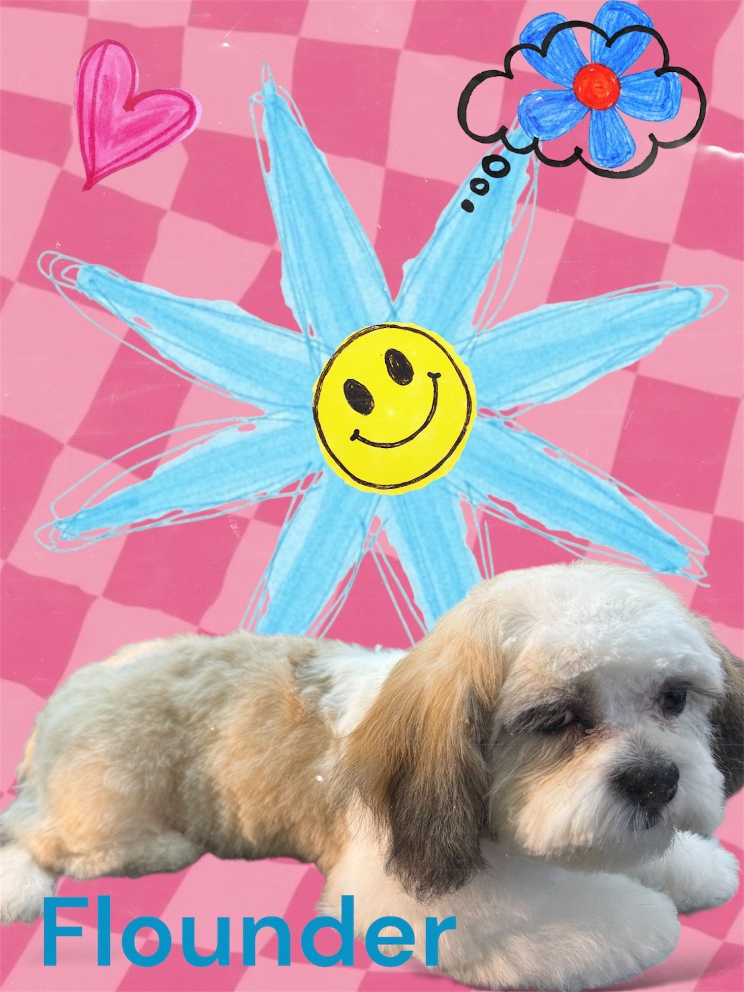 Puppy and Kitten Sitting Next to Each Other -  Pet Grooming and Boarding in Salem, OR