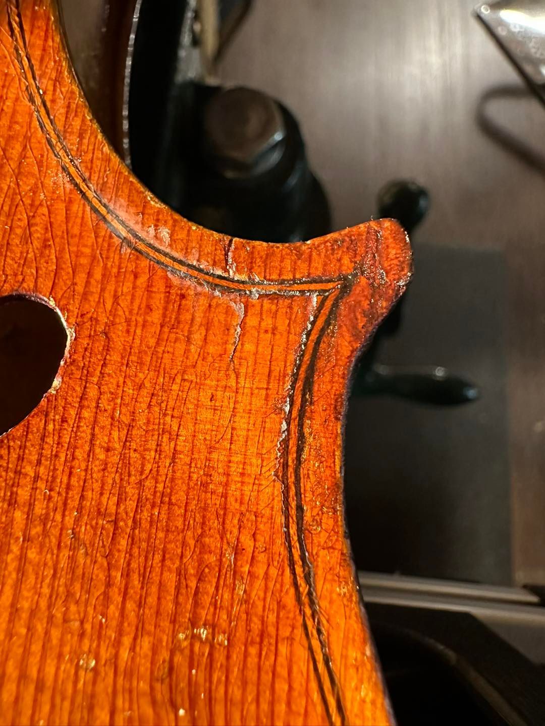 A close up of the back of a violin