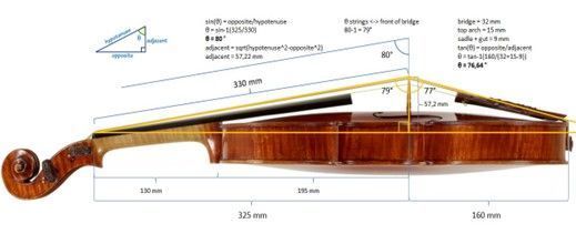 A diagram of a violin with measurements on a white background