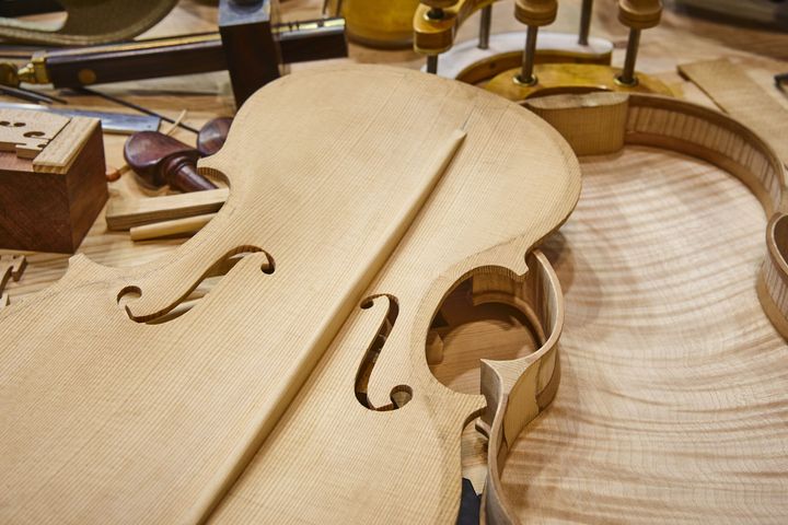 Custom Violin