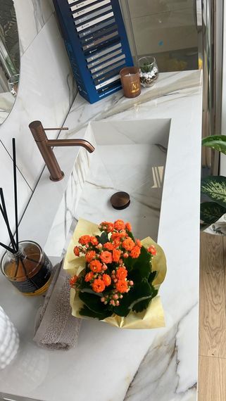 Un lavandino del bagno con una pianta e un rubinetto.