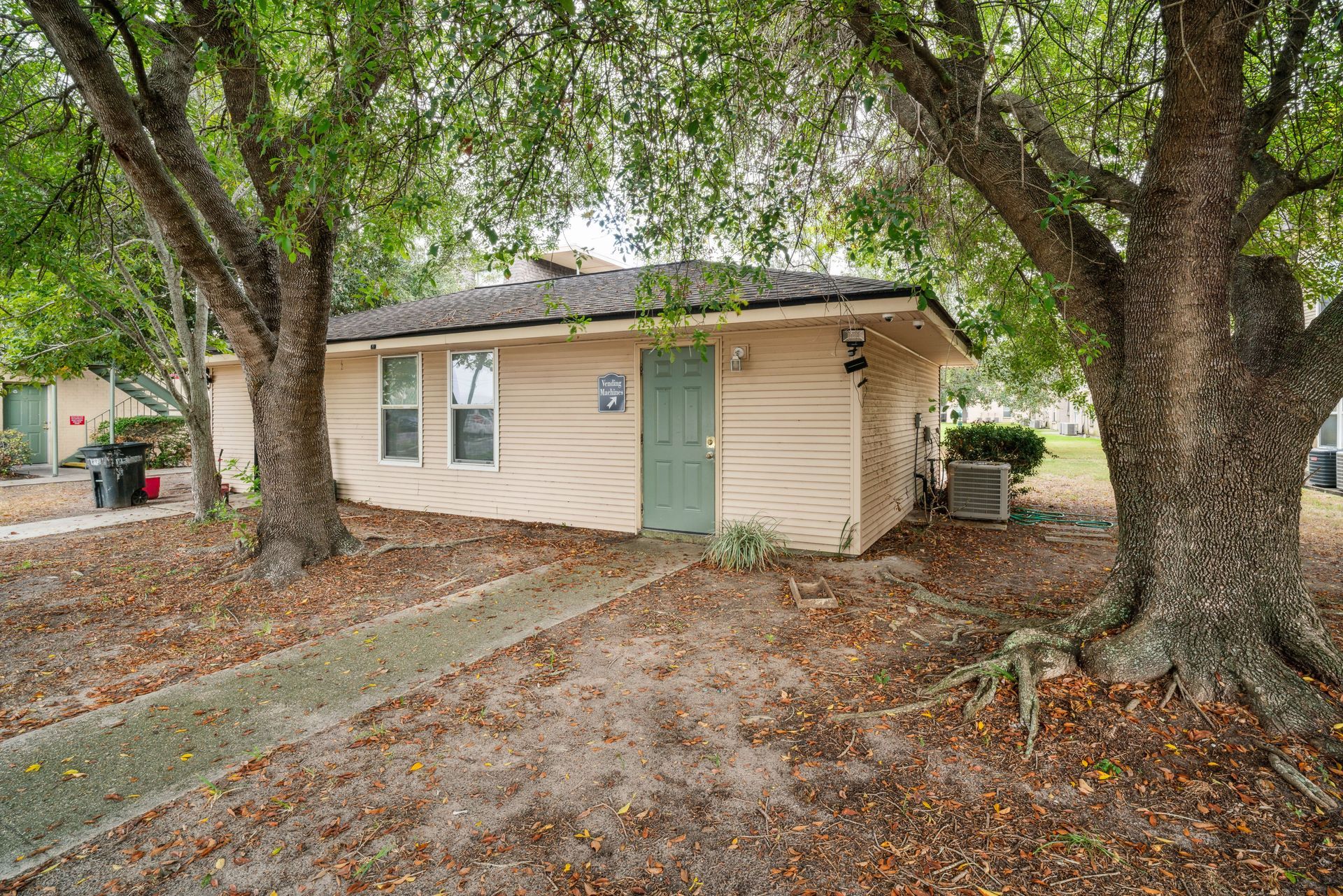 Small beige house with green door beneath large trees, viewed from a driveway covered in fallen leaves