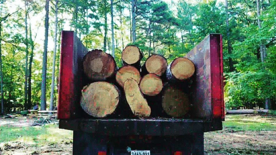 Cutting Down Unwanted Trees