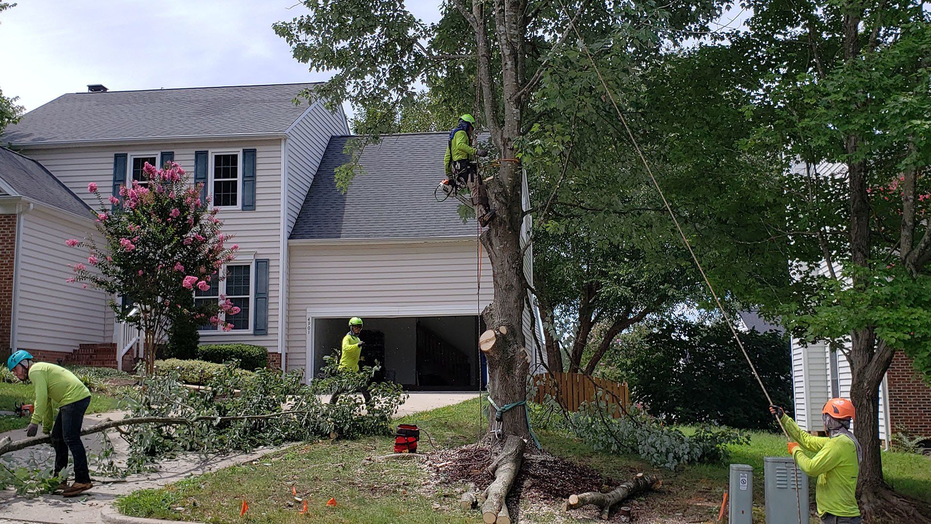 Tree Service 22