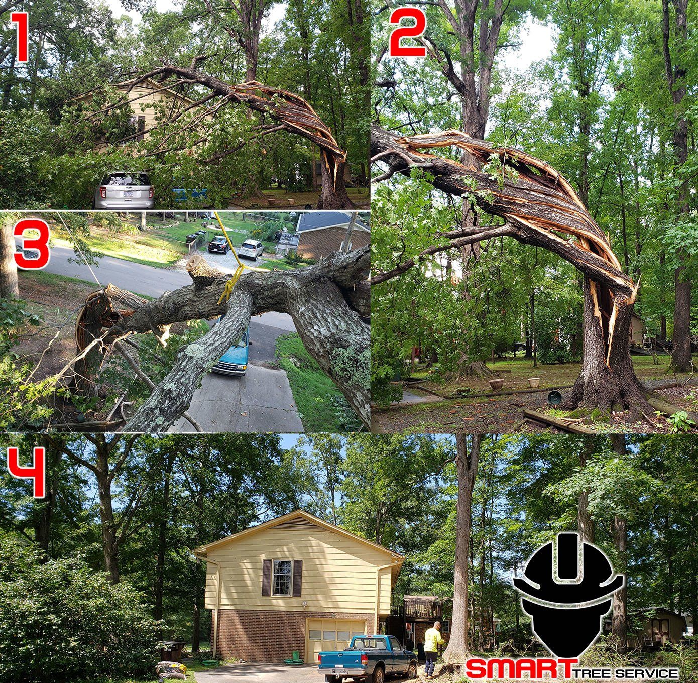 Tree Service 42