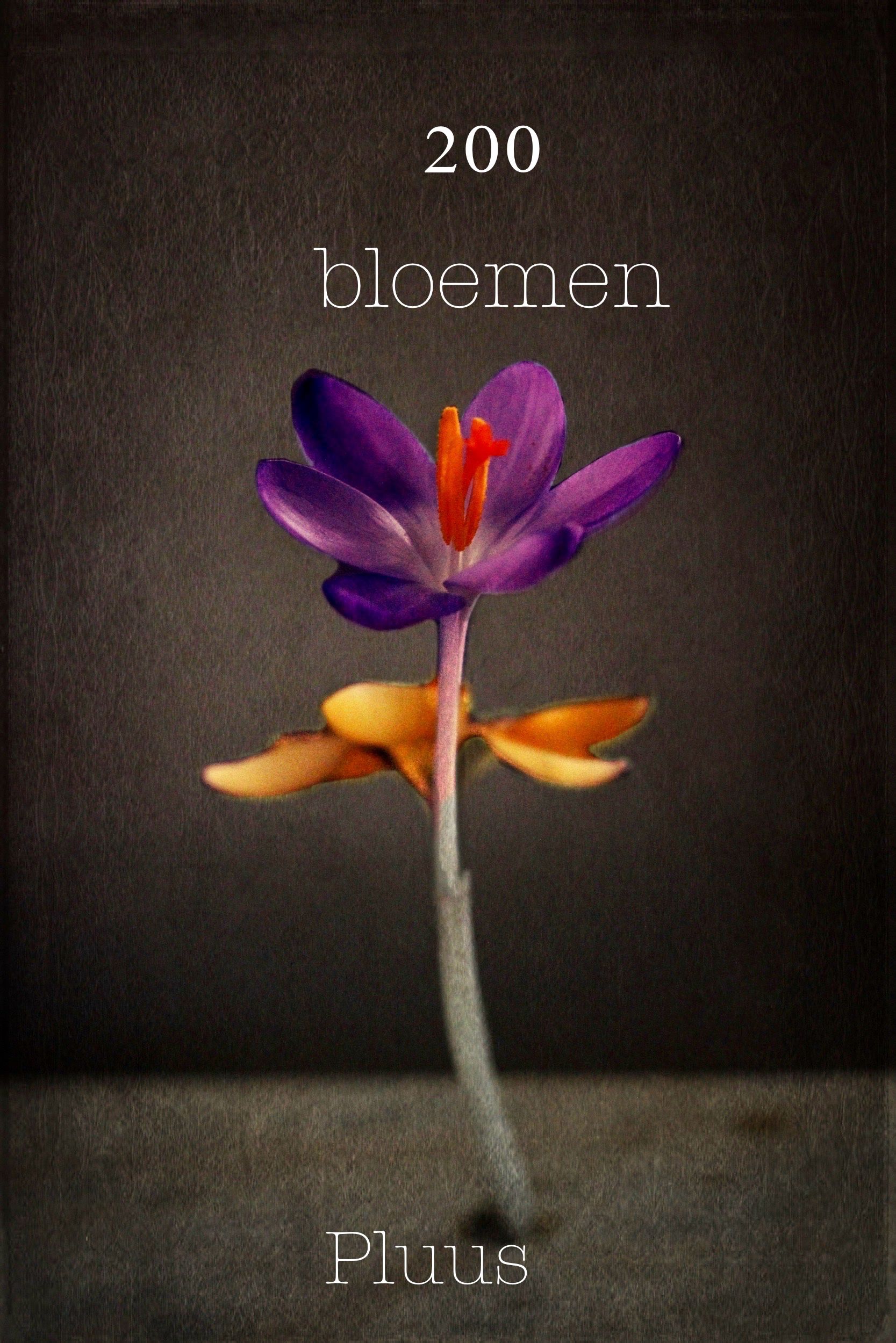 200 Bloemen Fotoboek
