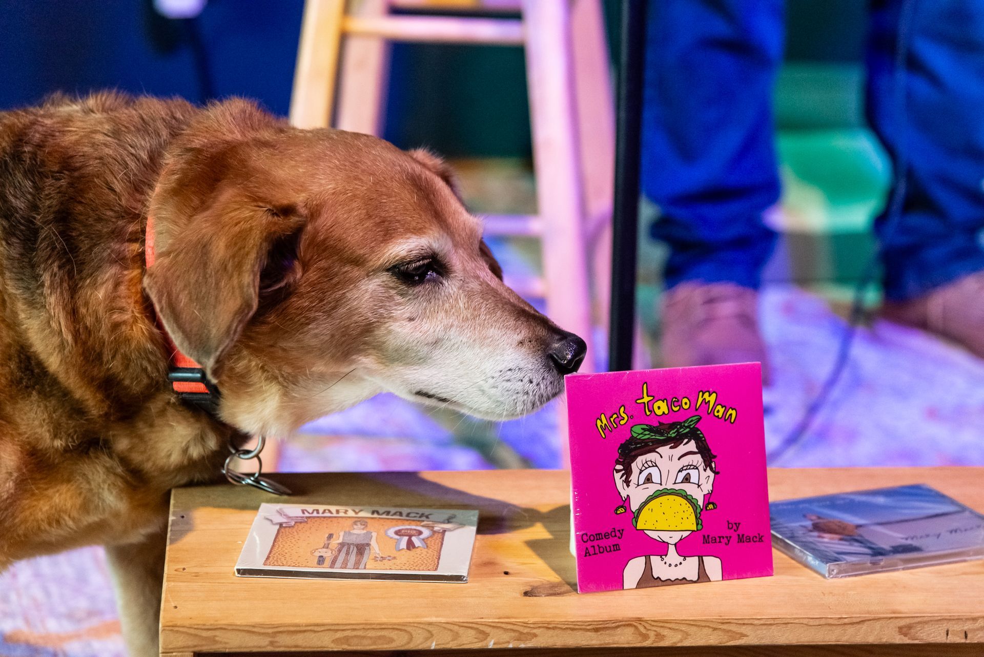 Mary Mack & Tim Harmston at The Happy Productions Listening Room in Cambridge Minnesota