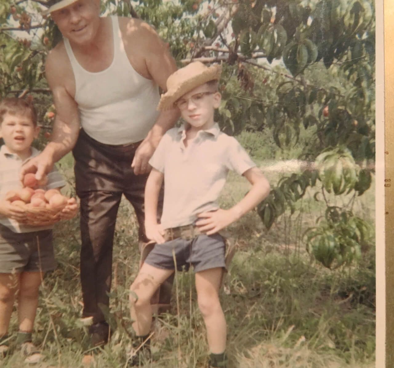 Child holding fresh peaches with grandfather and brother on a New Jersey family farm