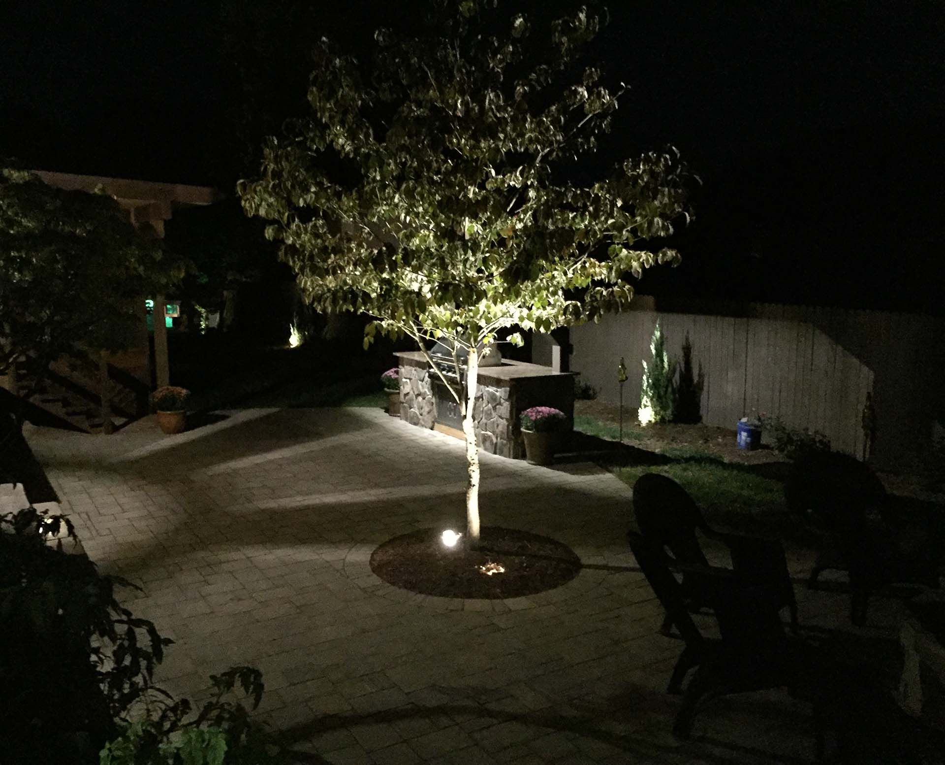 A tree is lit up in the middle of a patio at night