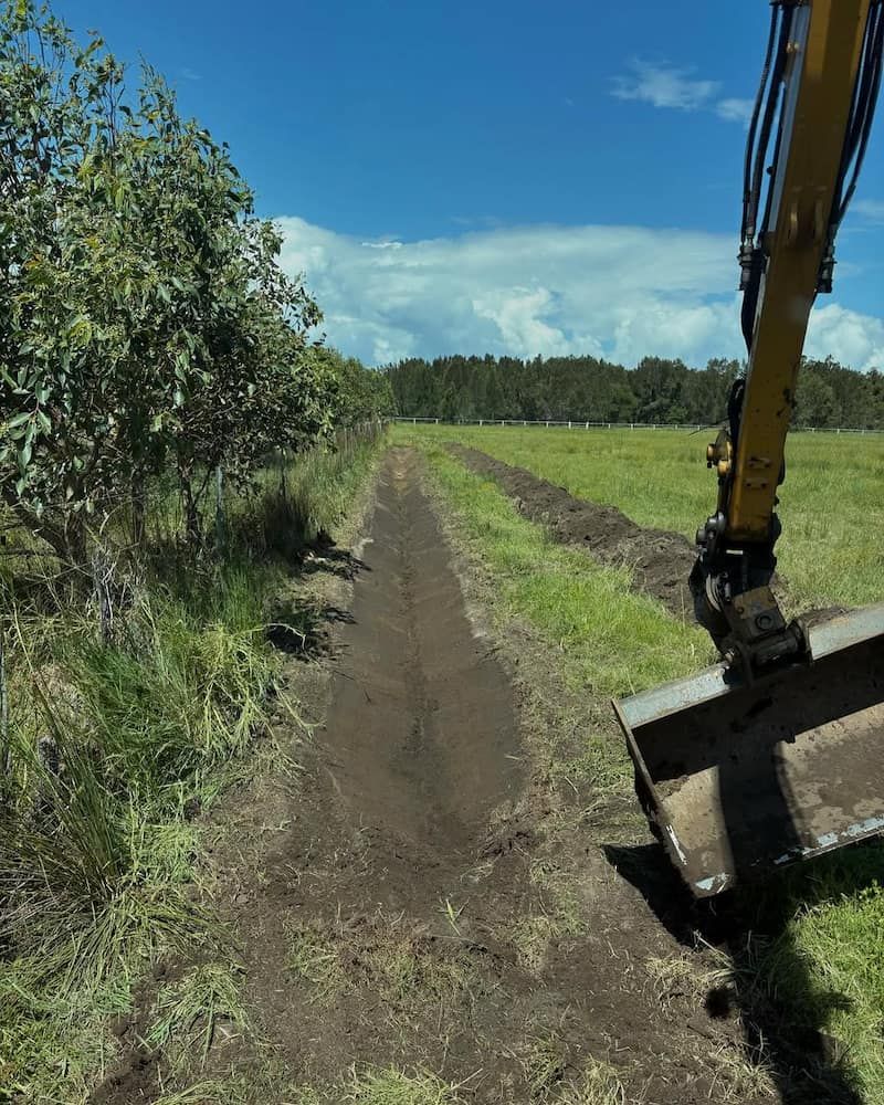 A Yellow Excavator is Digging a Path in a Field — Norcoast Diggers in Ballina, NSW