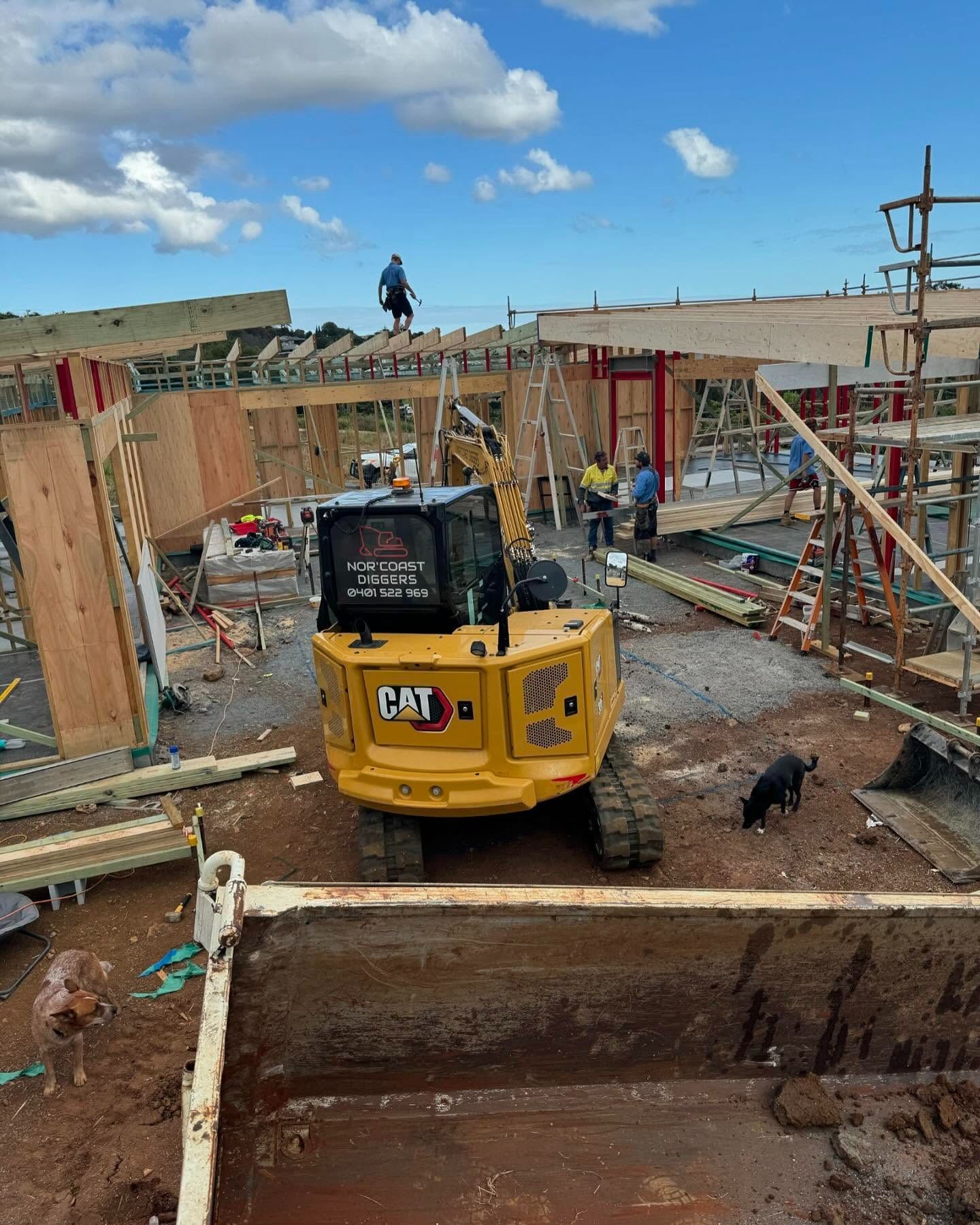 Norcoast Diggers is parked under a construction work site surrounded by framing with workers in the background — Norcoast Diggers in Ballina, NSW