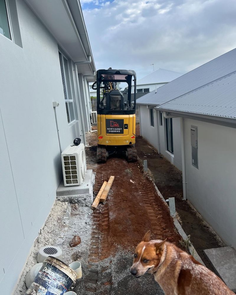 A Dog is Standing Next to a Construction Vehicle — Norcoast Diggers in Ballina, NSW