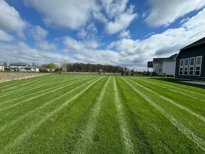 Freshly mowed green lawn with striped patterns, under a blue sky with clouds. Houses in the background.