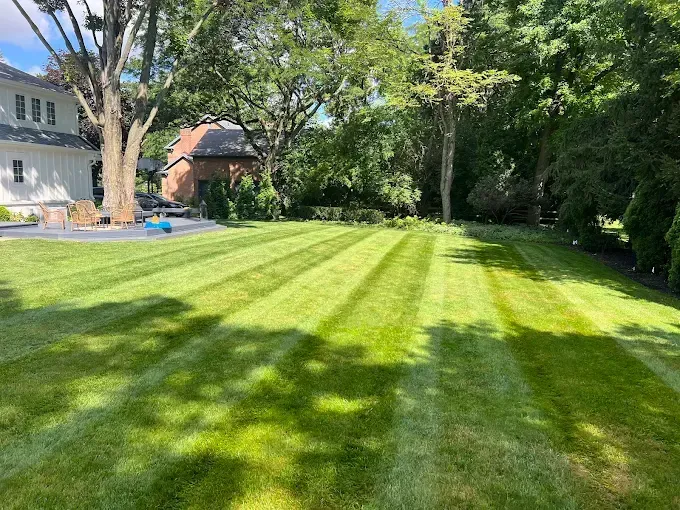 Green, freshly mowed lawn with striped pattern, with a house and trees in the background.