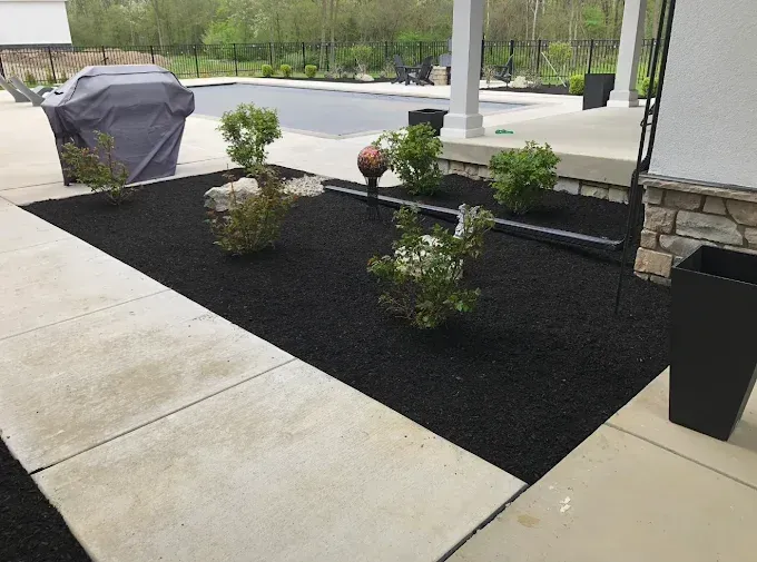 Black mulch flower bed with green plants, beside a concrete walkway, and a grill in the background.